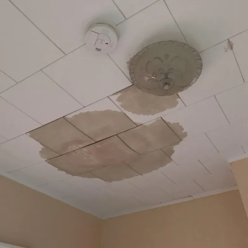 Ceiling Water Damage Repair in LaFollette, TN