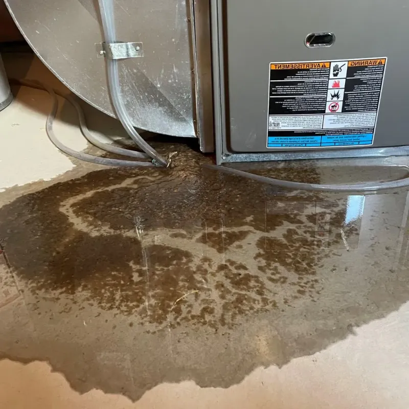 Pipe Burst and Leak Restoration in LaFollette, TN
