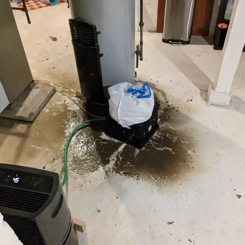 Sewage Backup Cleanup Service in LaFollette, TN